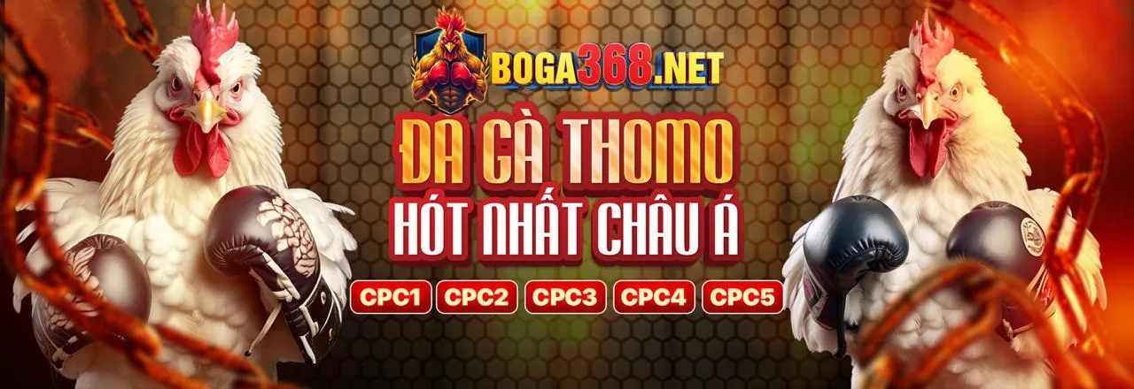 Sân vận động với hàng ngàn người hâm mộ, biểu tượng cá cược thể thao b52play code